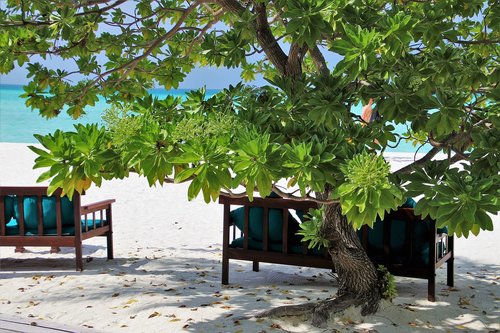 maldives  sand  resort