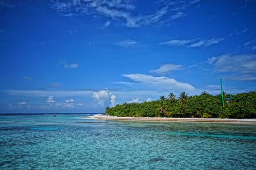 maldives  nature  beach