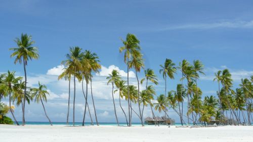 maldives island paradise beach