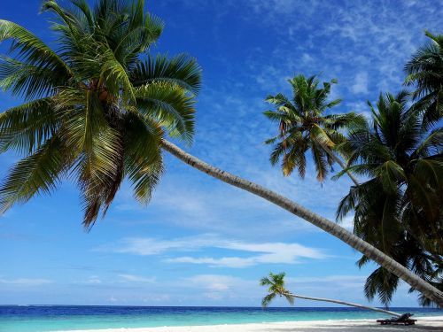 maldives palm beach