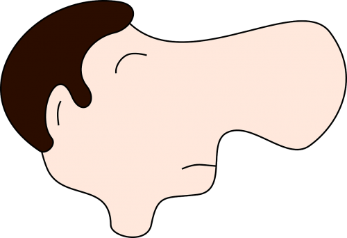 male man nose