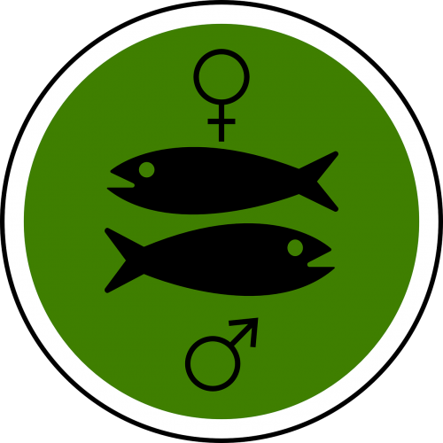 male female fish