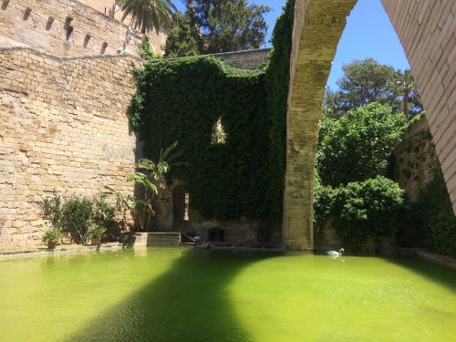 mallorca holiday cathedral