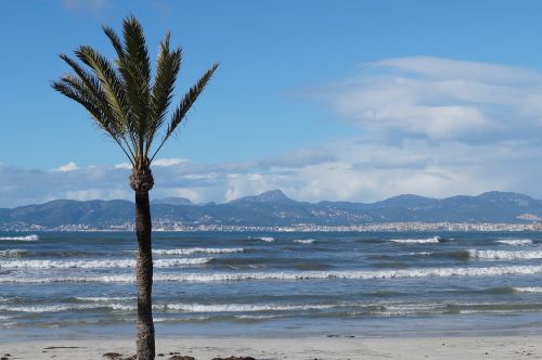 mallorca winter playa de palma
