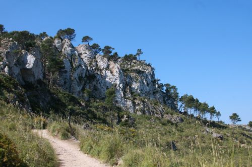 mallorca rock nature