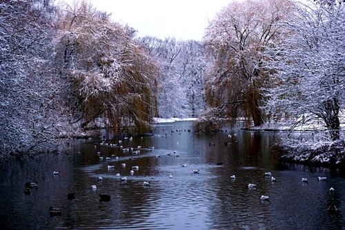 malmö  winter  sweden