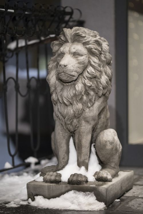 mammal lion statue