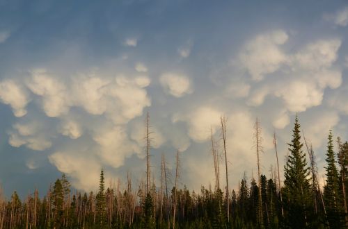 mammatus clouds sky landscape