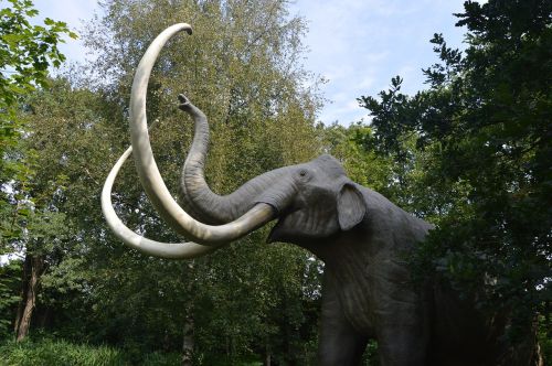 mammoth amusement park tolk mecklenburg