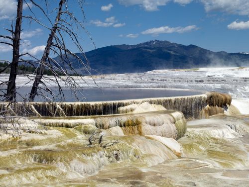 mammoth hot springs travertine yellowstone national park