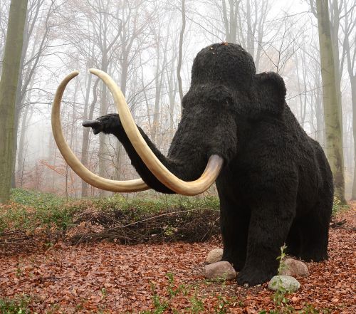 mamut mammal extinct