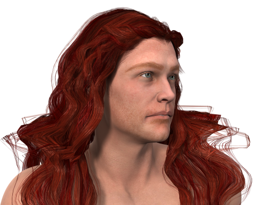man hair red hair