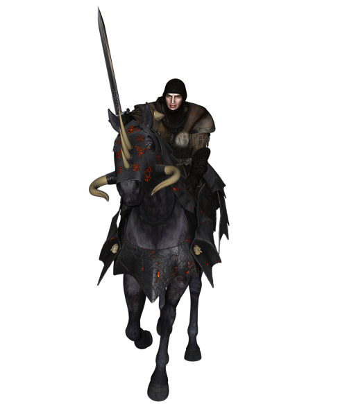 man knight horse