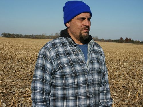 man adult cornfield