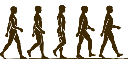 man human silhouette