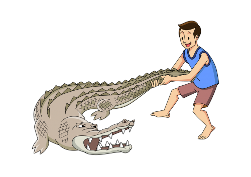 man wrestle crocodile