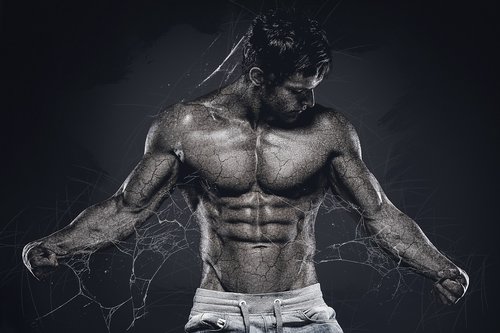 man  muscular  body
