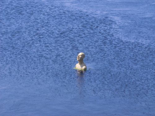 man in the water