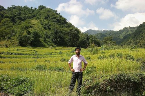 man standing green field agriculture