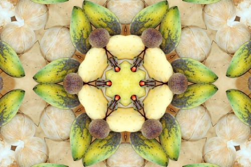 mandala fruit yantra