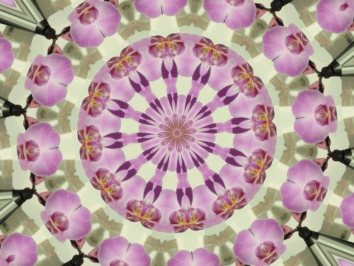 mandala orchids kaleidoscope