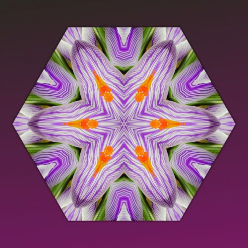 Mandala Flowers (3)