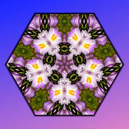 Mandala Flowers (5)