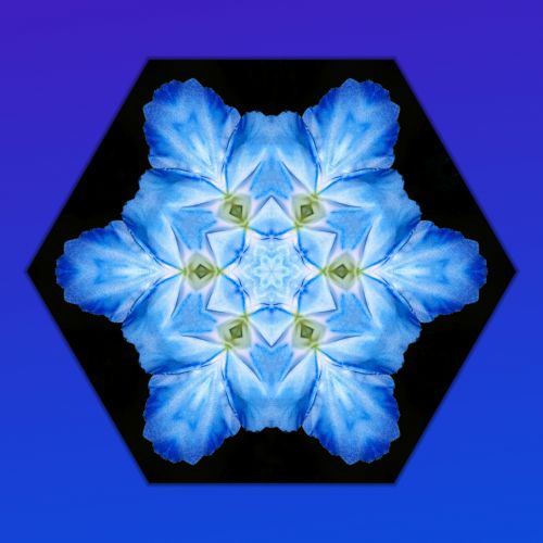 Mandala Flowers (6)