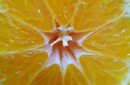mandarin fruit juicy