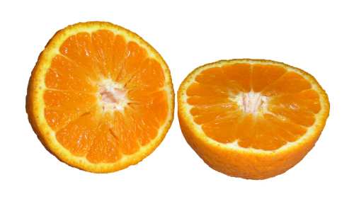 mandarin citrus fruit