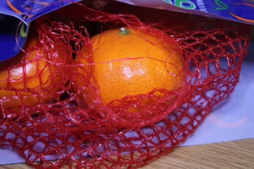 mandarin food orange