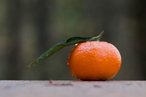 mandarin fruit clementines