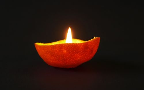 mandarin shell candle