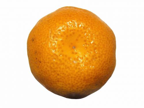 mandarin citrus fruit citrus fruits