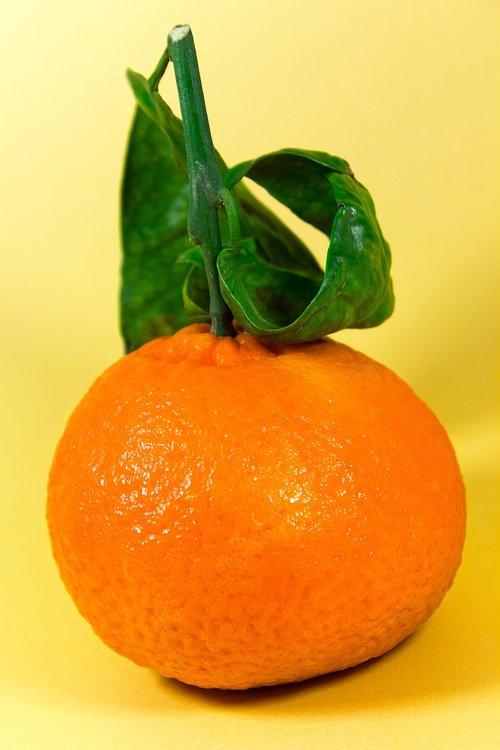 mandarin  snack  fresh