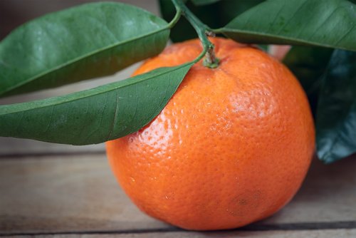 mandarin  orange  fruit