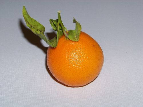 mandarin fruit vitamins