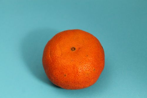 mandarin clementine fruit