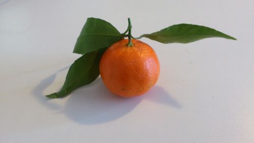 mandarin fruit healthy