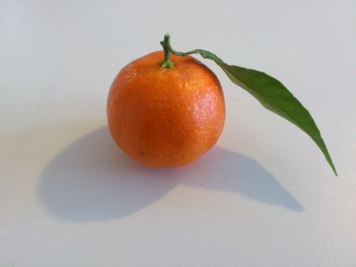 mandarin fruit healthy