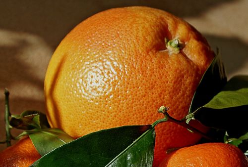 mandarins oranges fruit