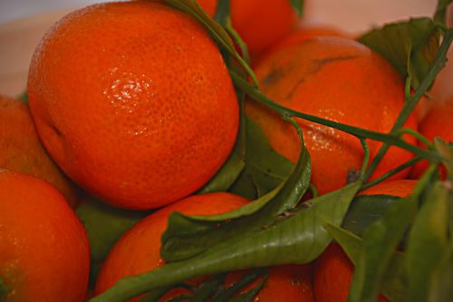mandarins fruit citrus