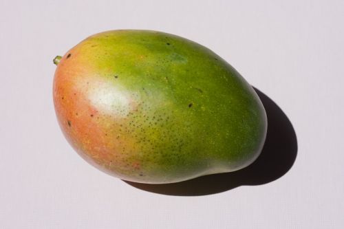 mango fruit tropical