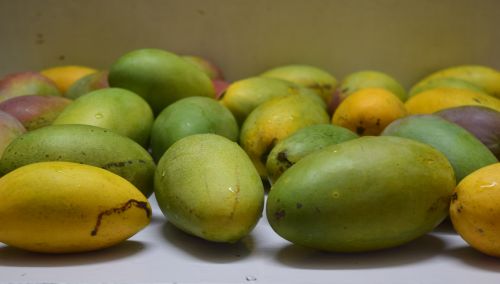 Mangoes 8