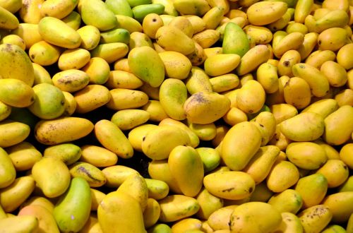 Mangoes