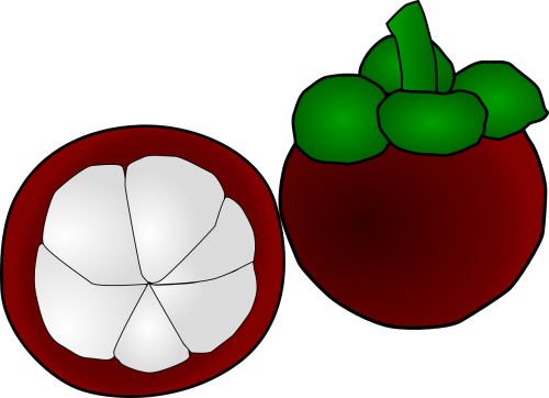 mangosteen fruit exotic