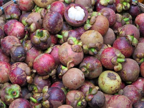 mangosteen fruit edible