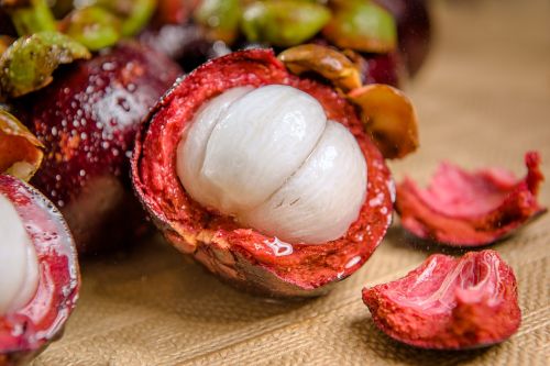 mangosteen fruit fruit photo