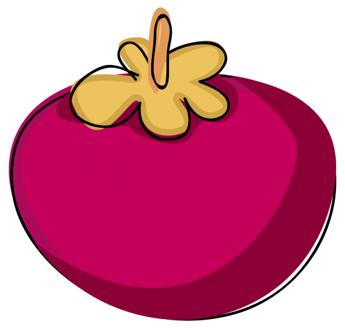 mangosteen fruit cartoon
