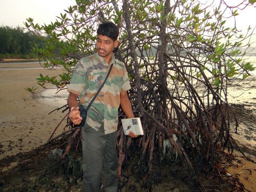 mangrove forest guide